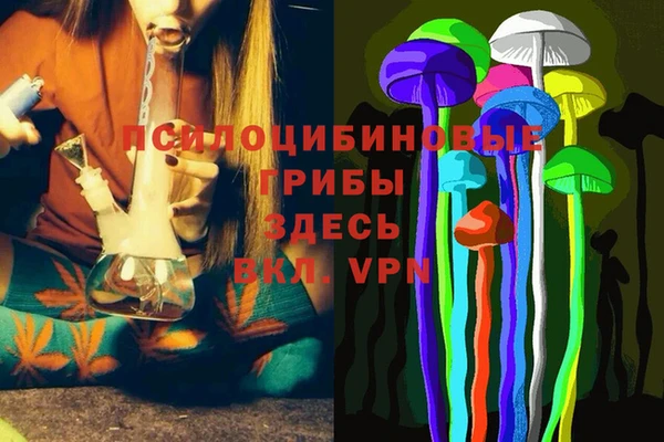 MDMA Premium VHQ Гусиноозёрск