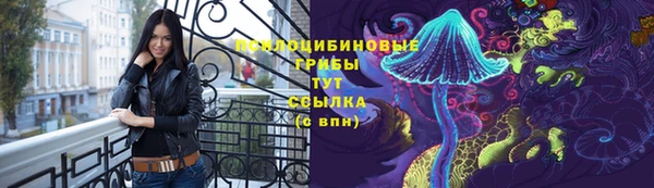 дурь Гусев