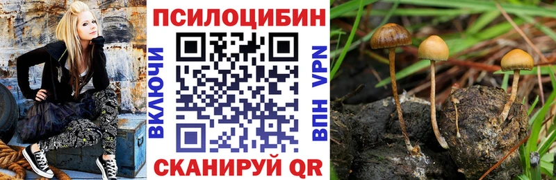 Галлюциногенные грибы мицелий mega вход Мценск продажа наркотиков